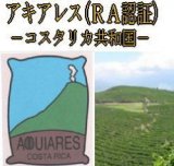 【豆の姿形でネコポス便発送】コスタリカ、アキアレス農園、１００g袋×２袋＝２００g